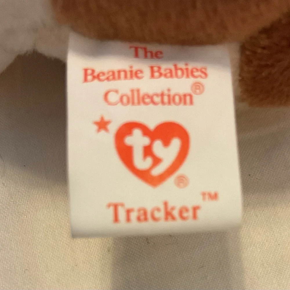 Ty Tracker the Basset Hound beanie baby dog